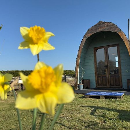 Skipbridge Farm Glamping York Bagian luar foto