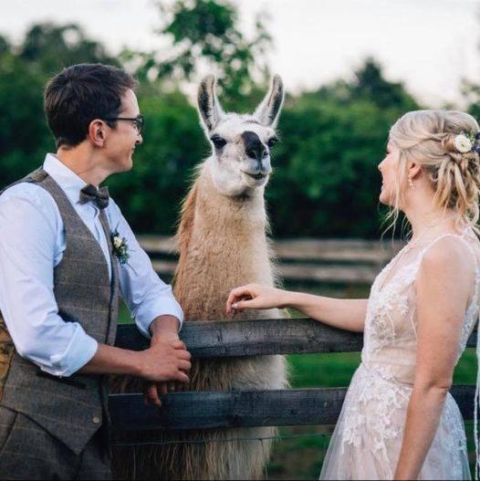 Skipbridge Farm Glamping York Bagian luar foto