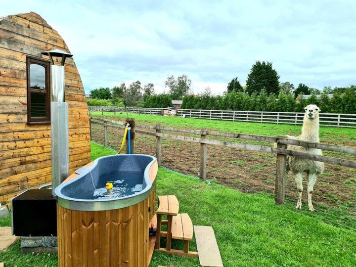 Skipbridge Farm Glamping York Bagian luar foto